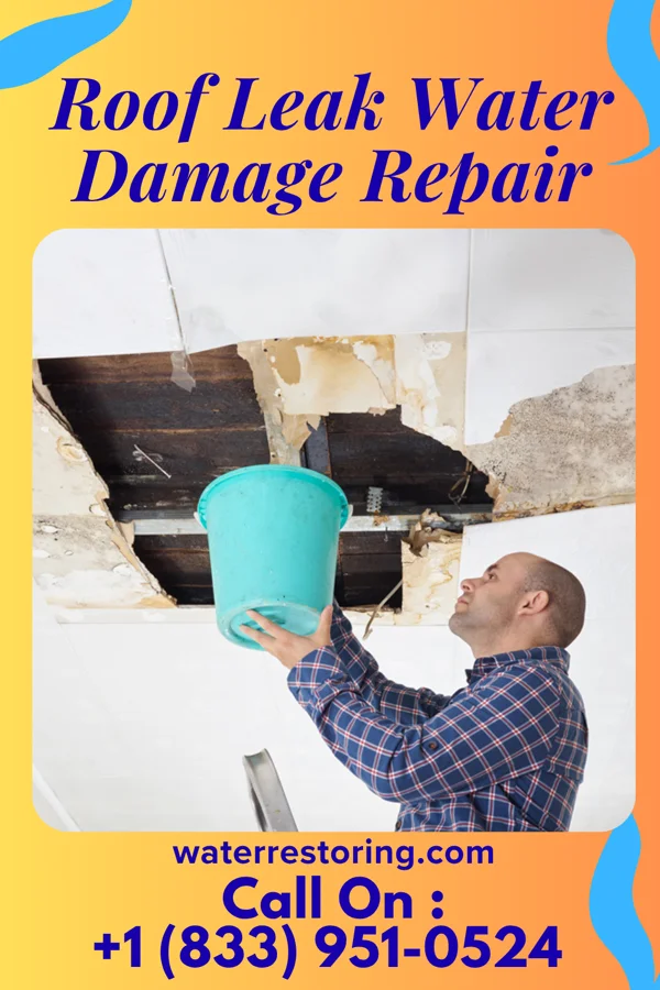 Roof Leak Water Damage Repair in Glenview, IL