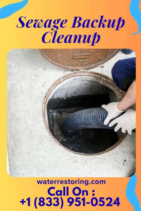 Sewage Backup Cleanup in Glenview, IL