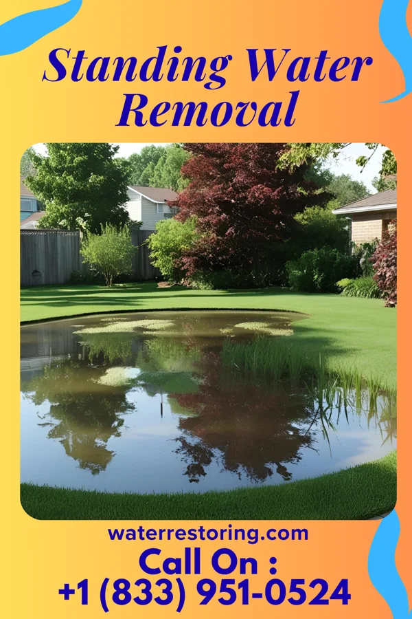 Standing Water Removal in Glenview, IL
